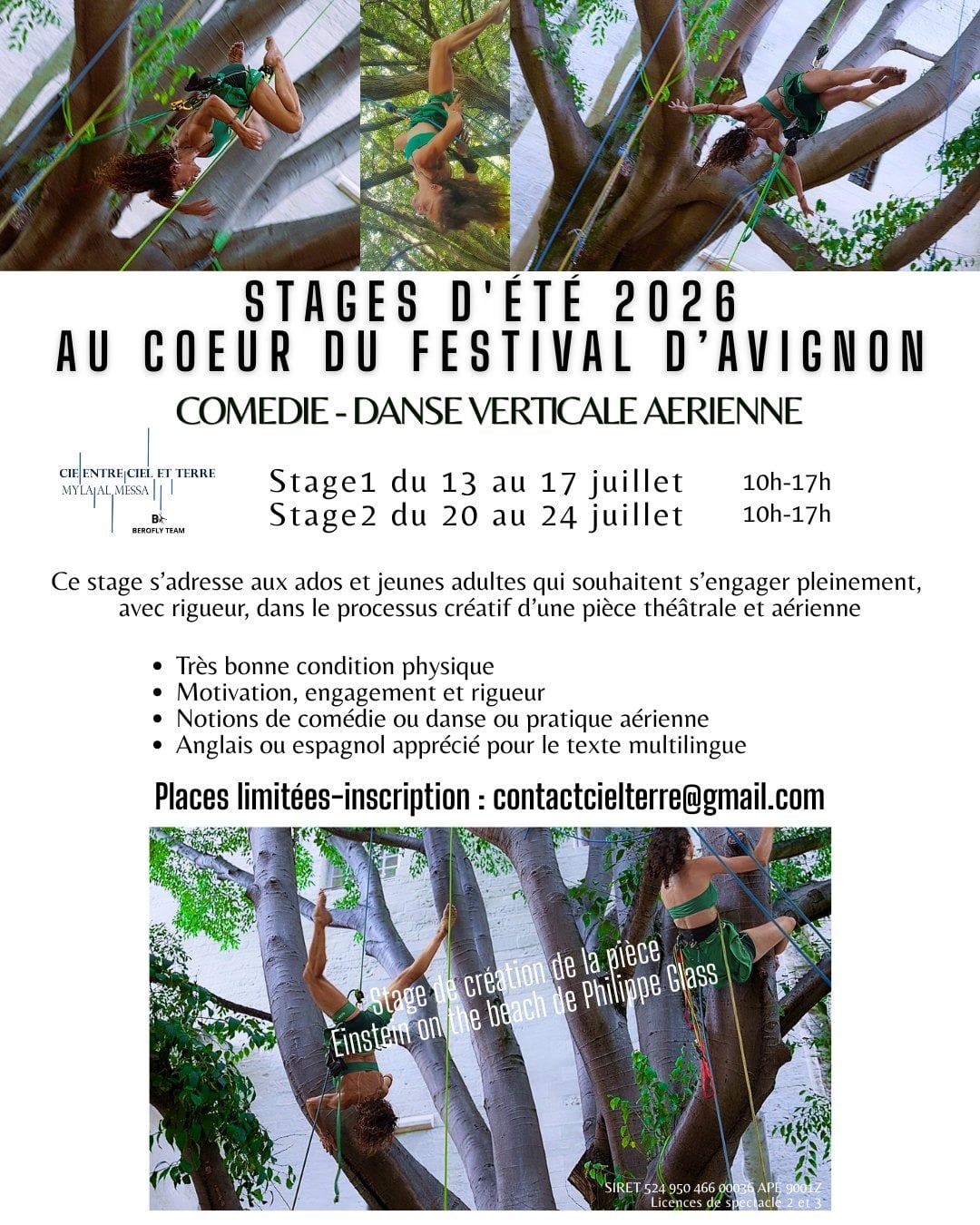 Stages d'été 2026 : Comédie - Danse Verticale Aérienne au Festival d'Avignon