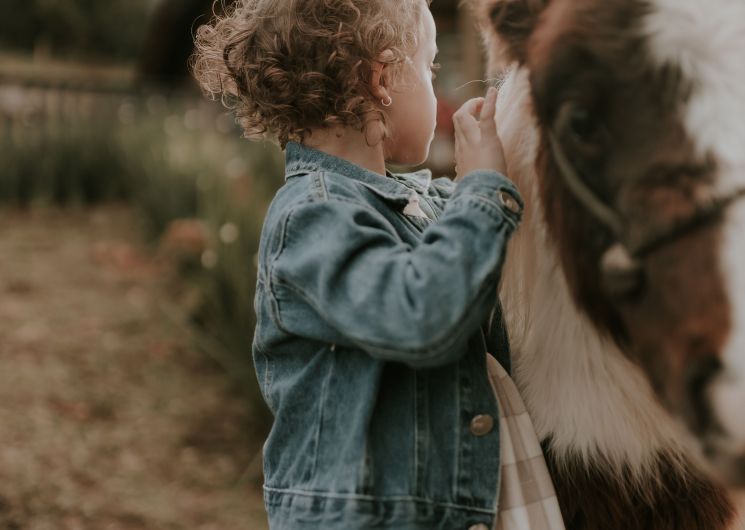 ATELIER PONEY DECOUVERTE