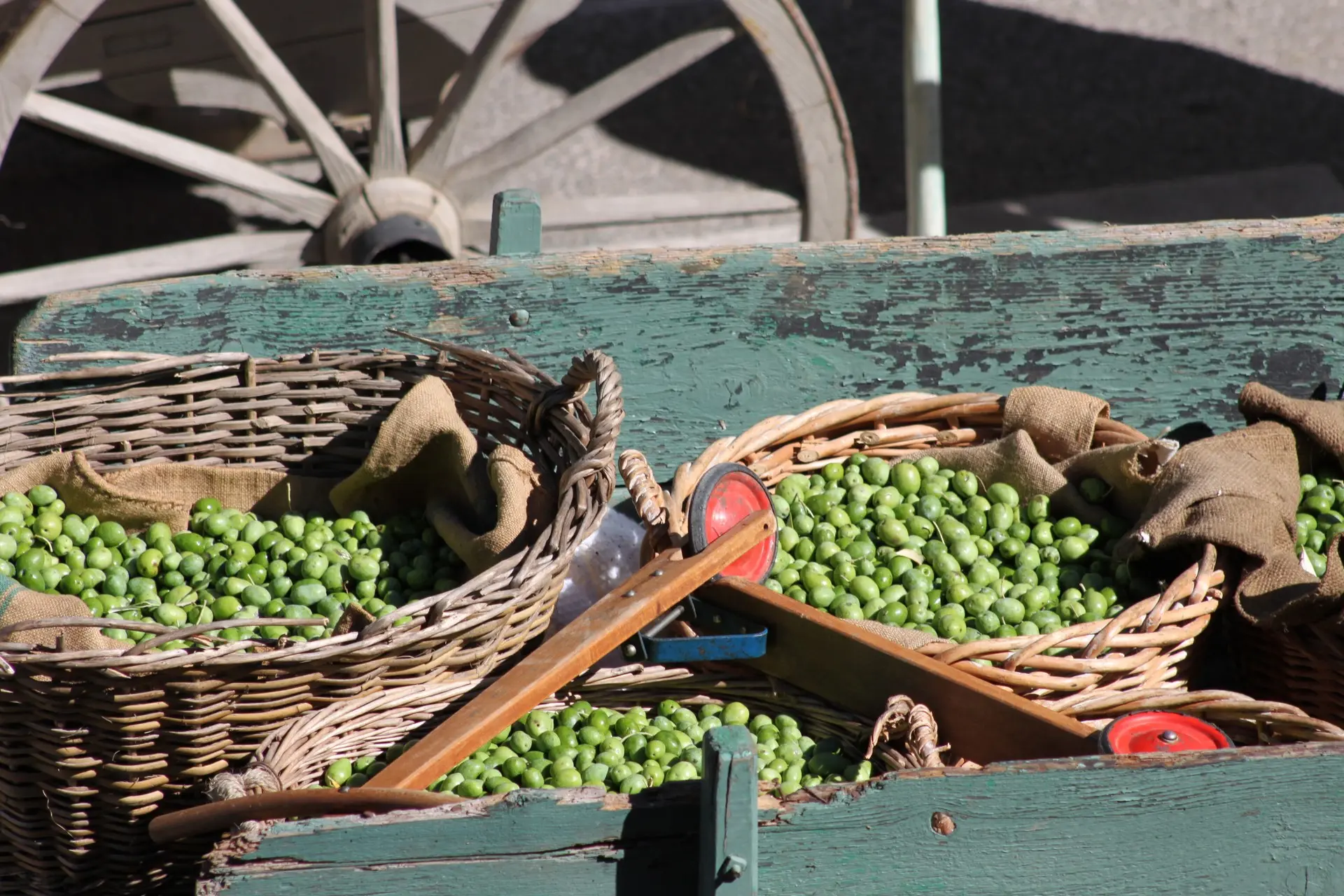 Fête des Olives Vertes 2026