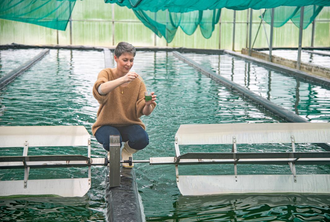 Visites de la Ferme du Puy de la Velle (Spiruline du Doubs)