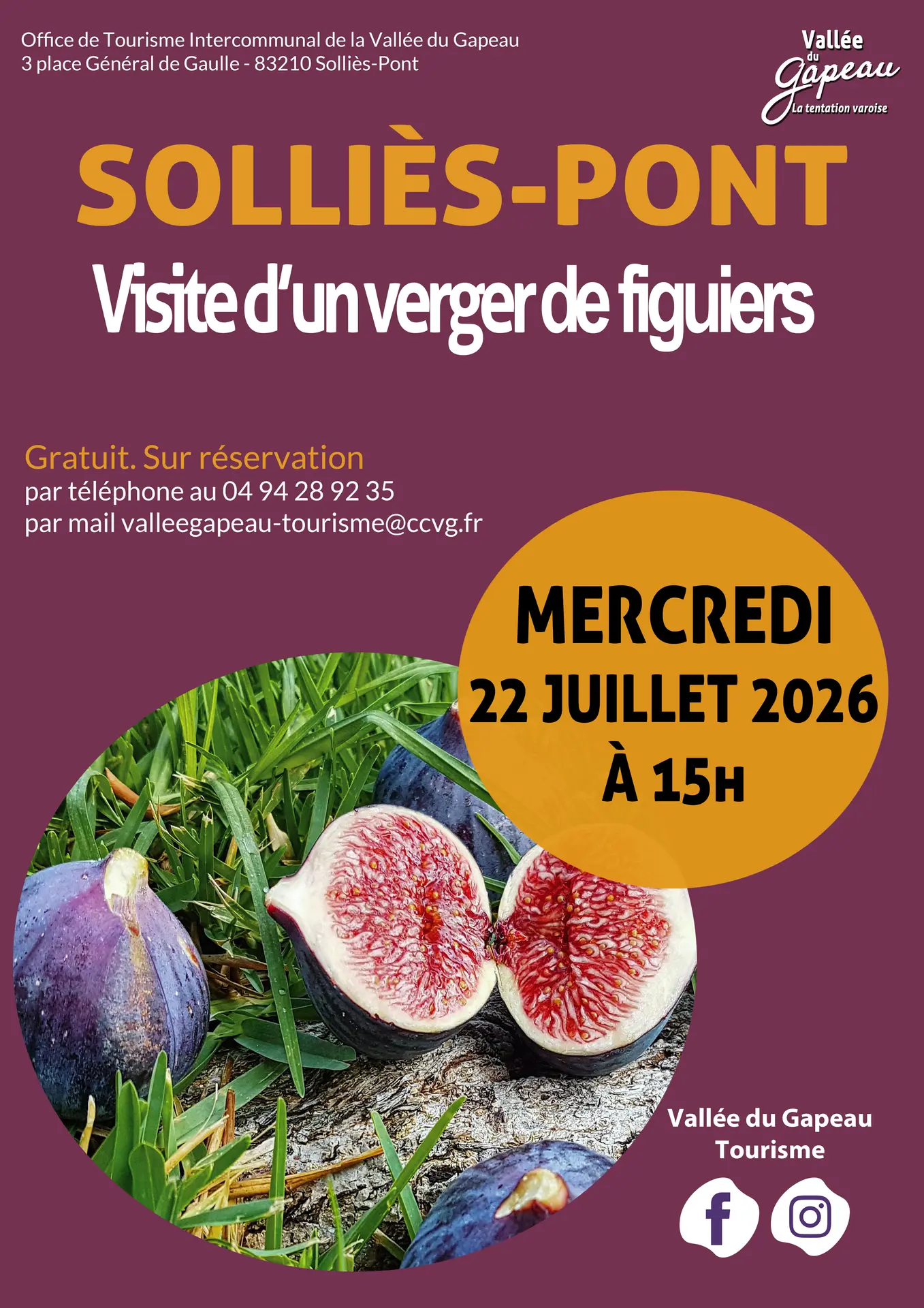 Visite d'un verger de figuiers