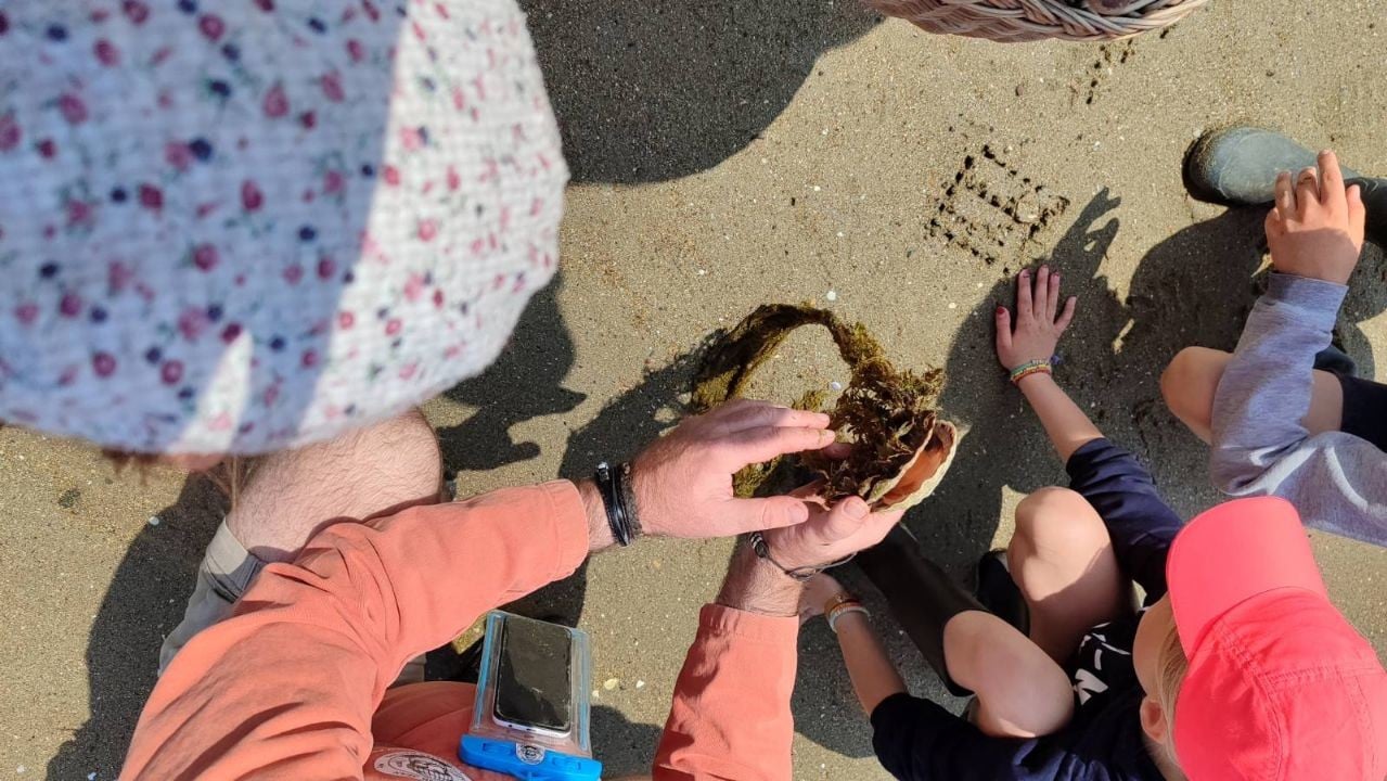 Animation – Initiation à la Pêche à Pied