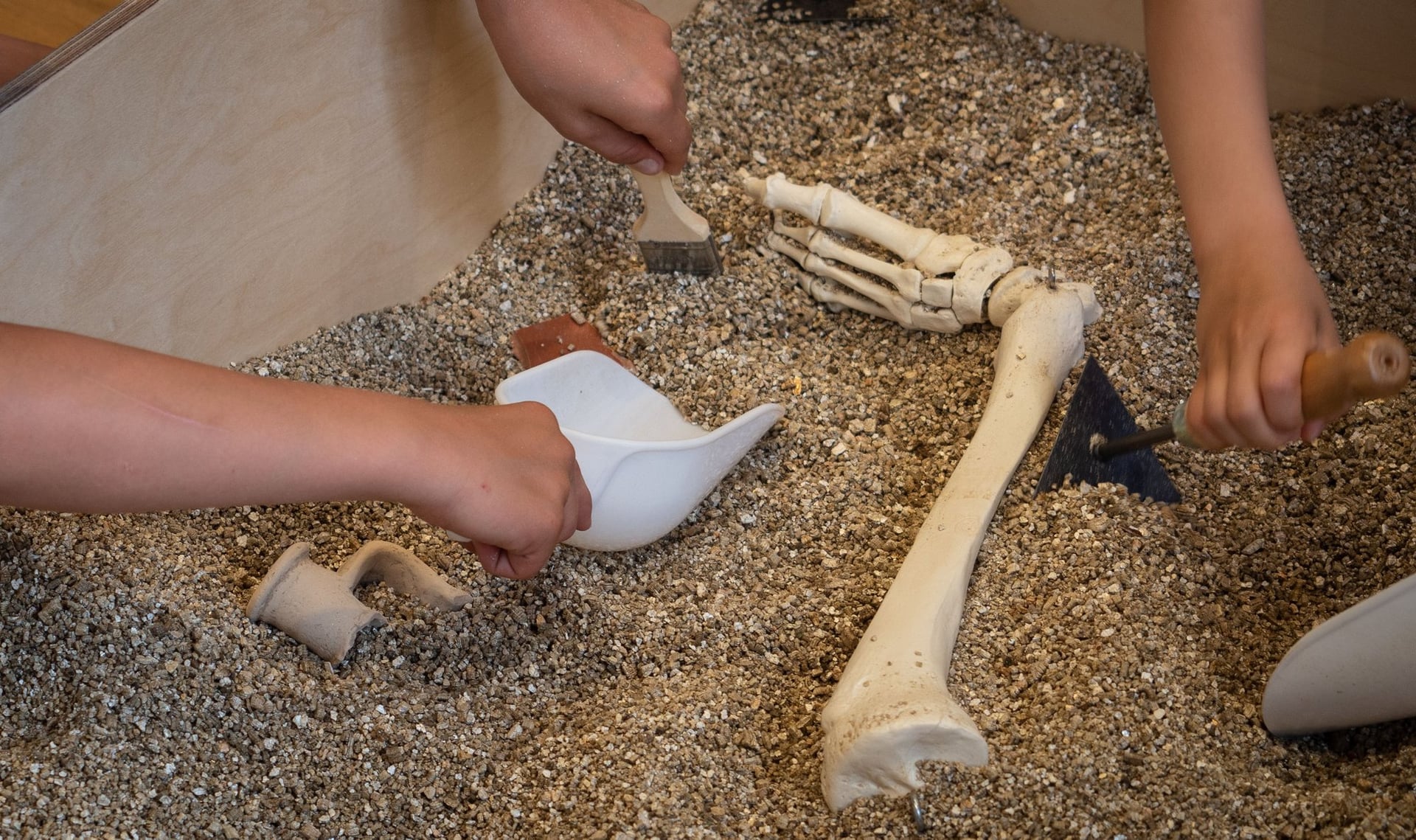 Visite de l'&cclesia et atelier de fouille archéologique