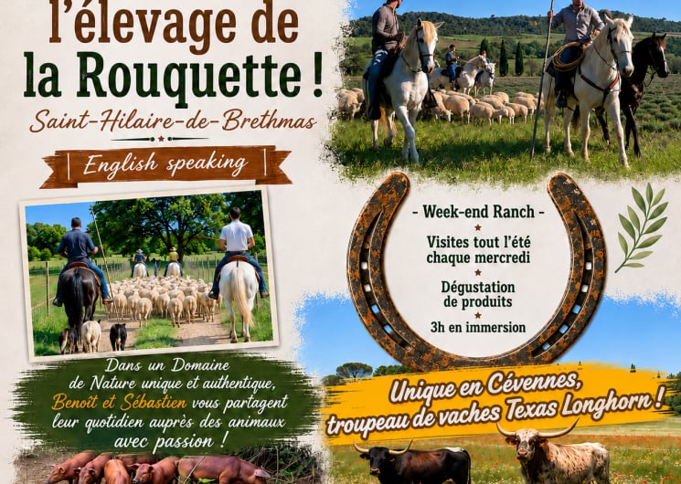 Visite – Elevage de la Rouquette