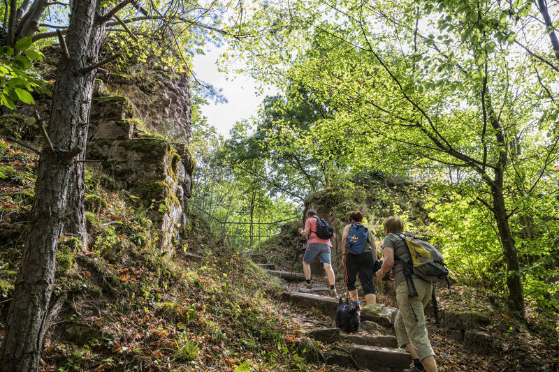 Sentiers Plaisir : Un rocher emblématique