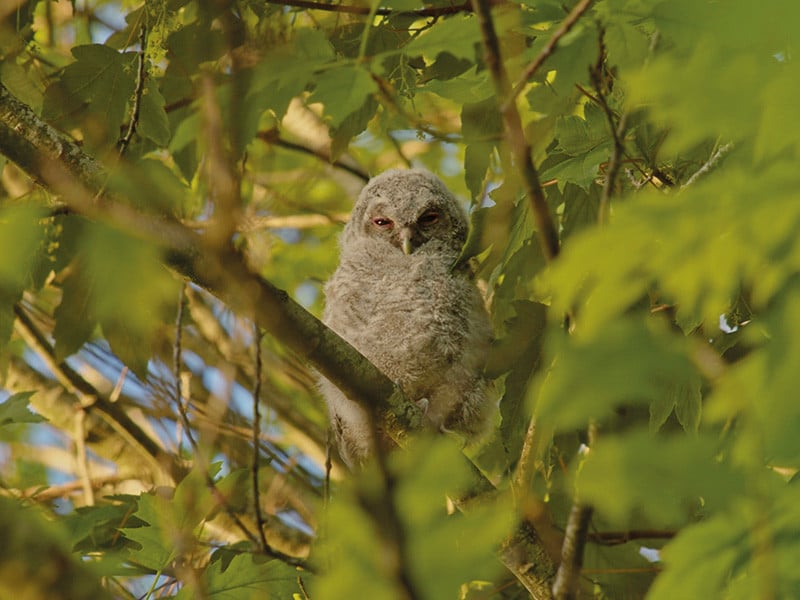 Projection documentaire : Un autre regard