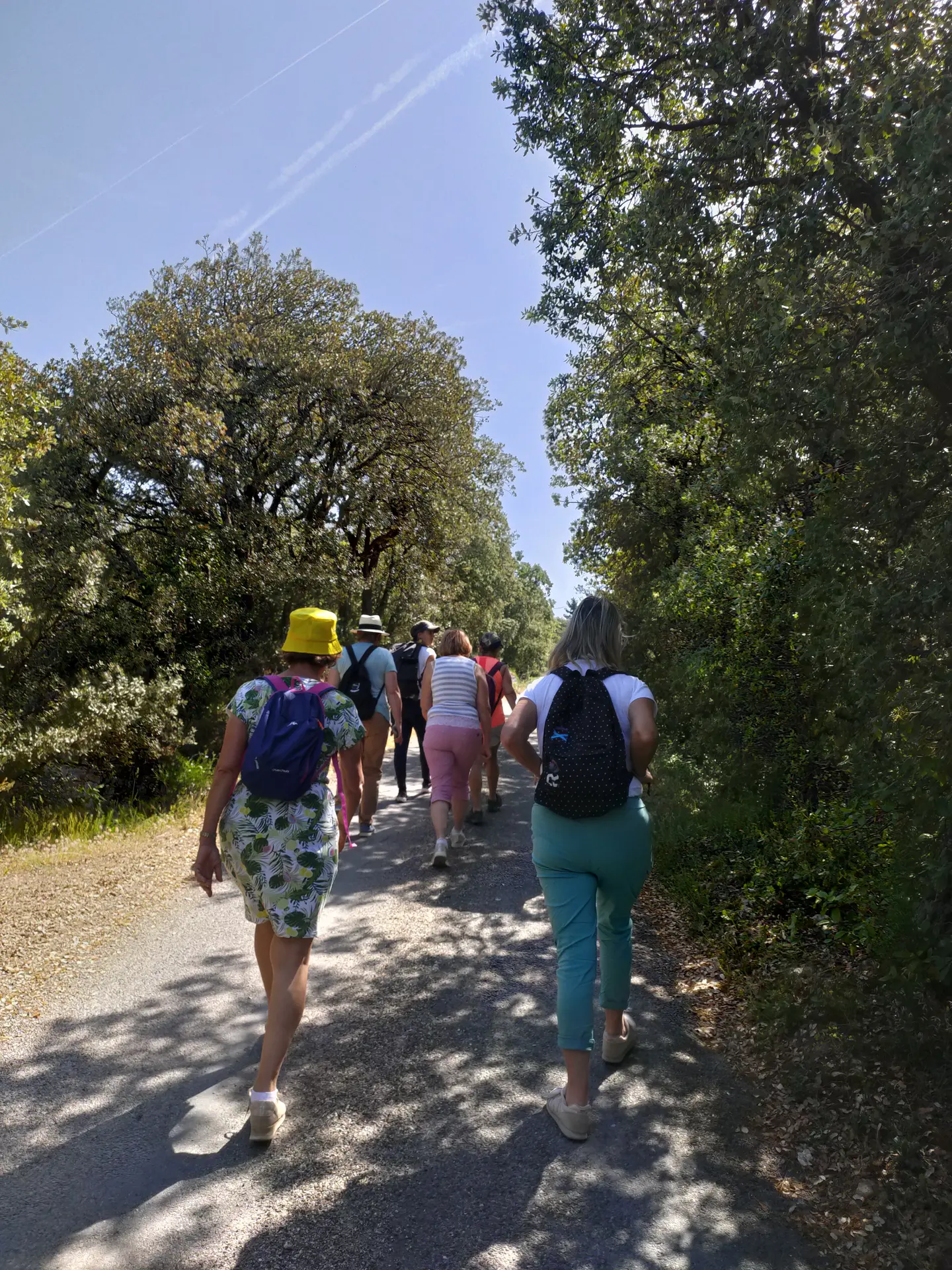 Balade à la forêt des cèdres