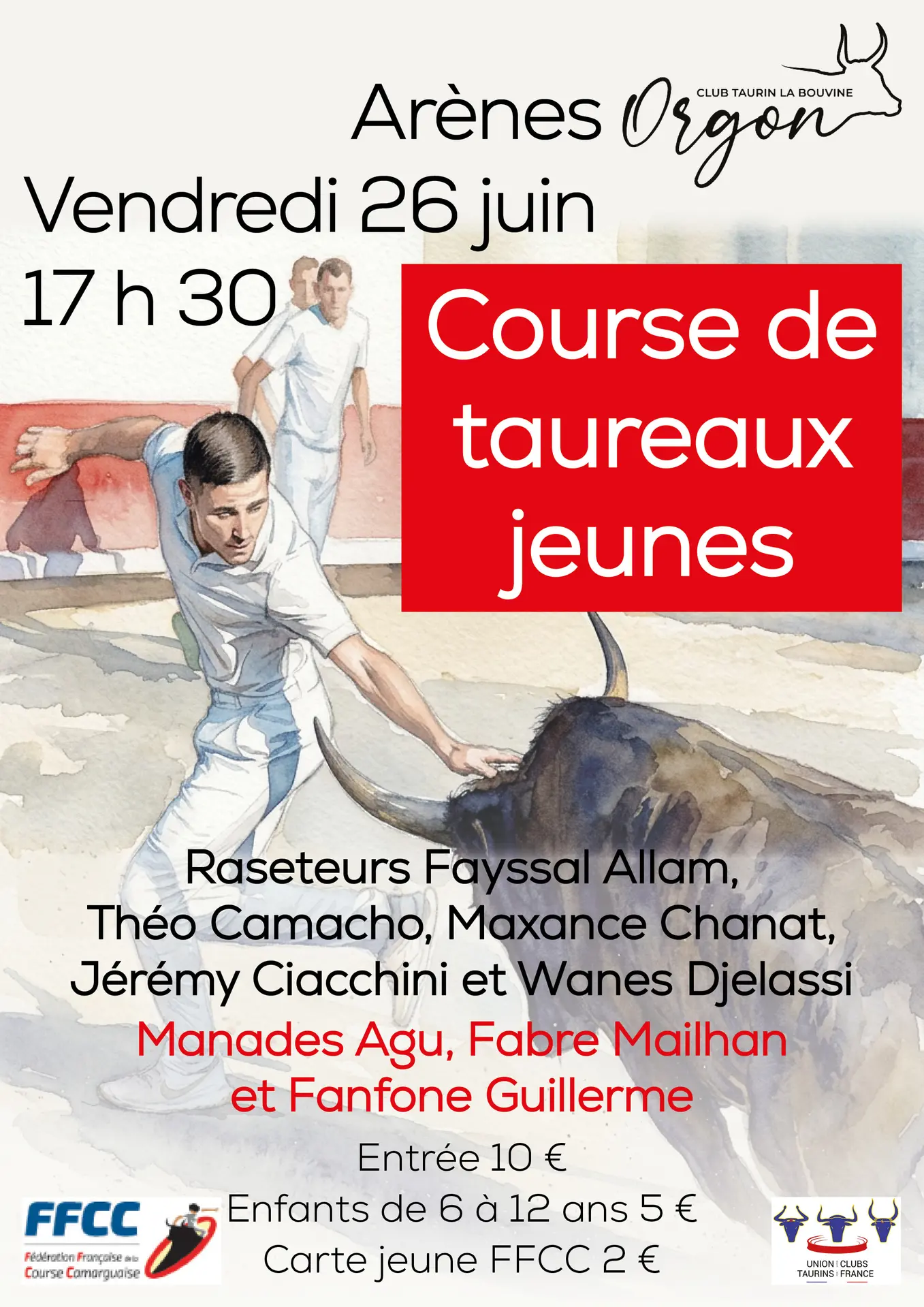 Course de taureaux jeunes