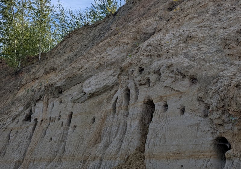 Événement Nature & Vous - Visite de la sablière d'Hamel