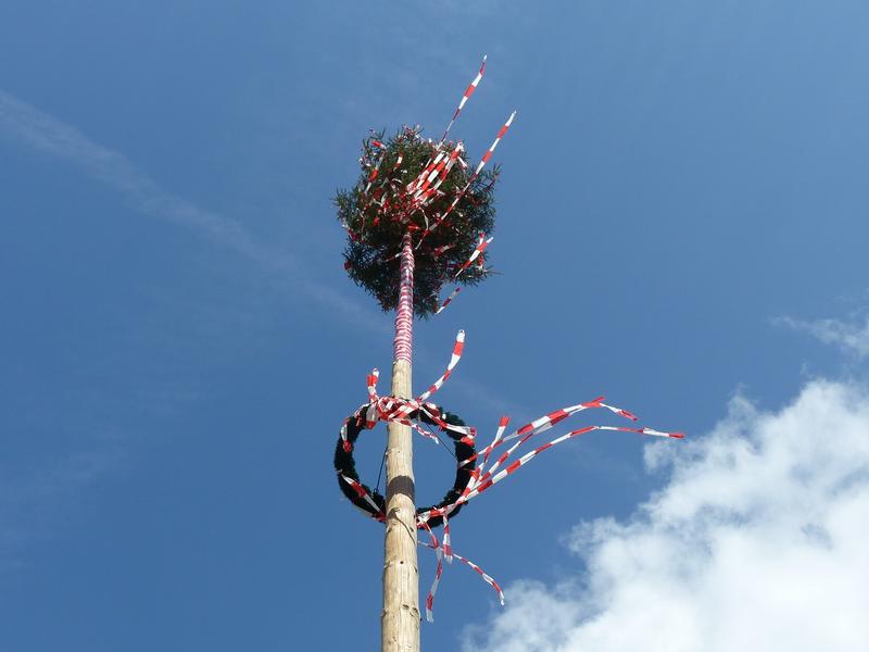Maibaum à Riedisheim