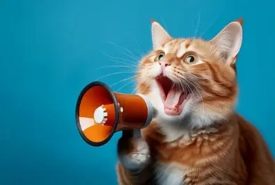 La Voix des Chats journée caricative