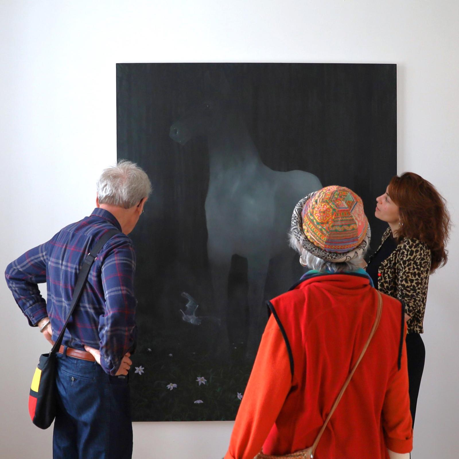 Visite commentée de l'exposition Natures diverses