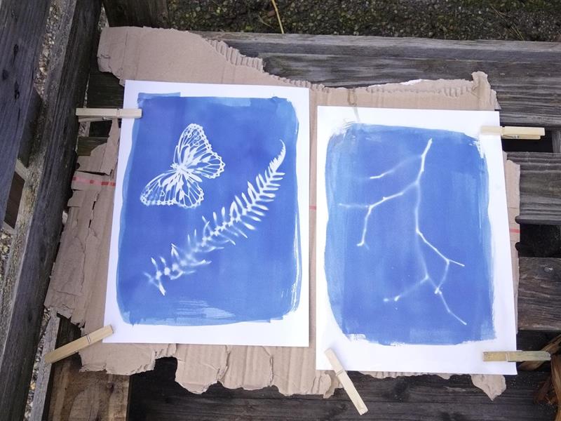 Atelier : cyanotype