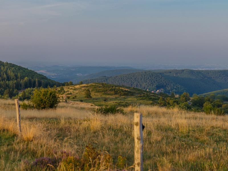 Sentiers Plaisir : Sauvegardez nous de la lumière