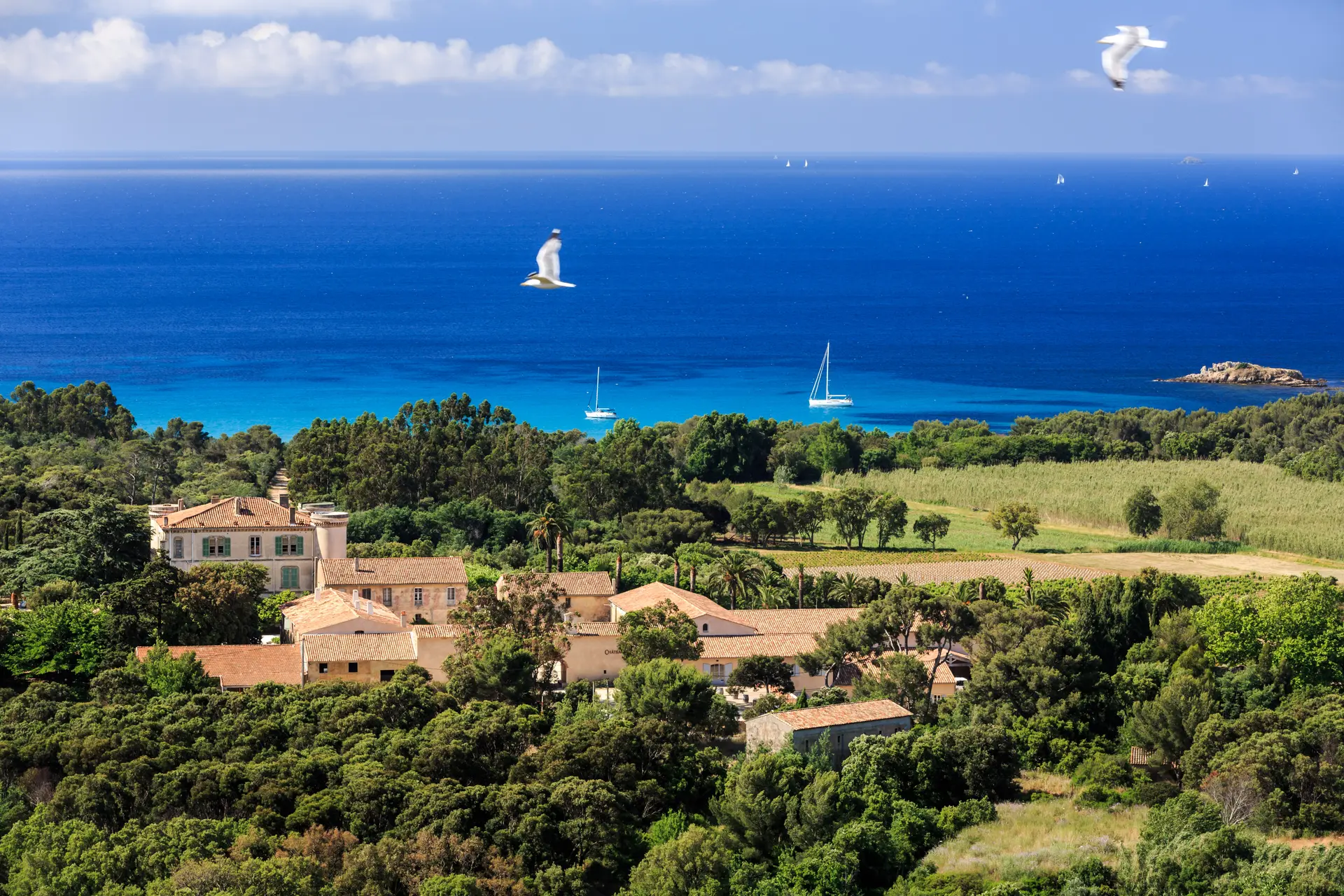 Vignobles en Scène - Vignobles de Provence et de Méditerranée
