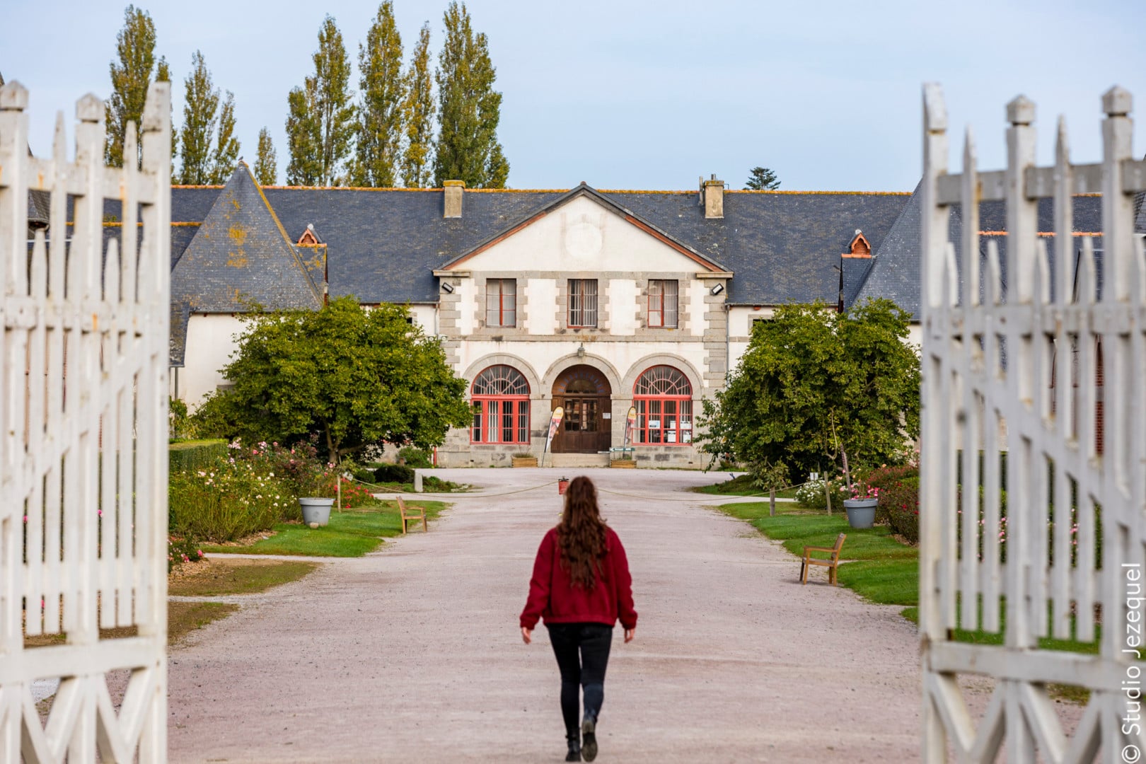 Jeudis du haras : animations et spectacles