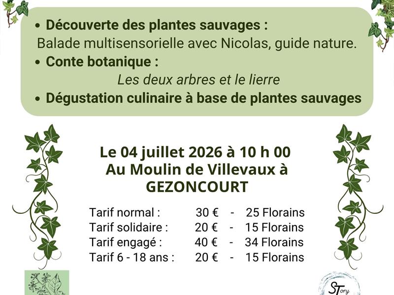 Balade et Conte Botanique en Petite Suisse Lorraine