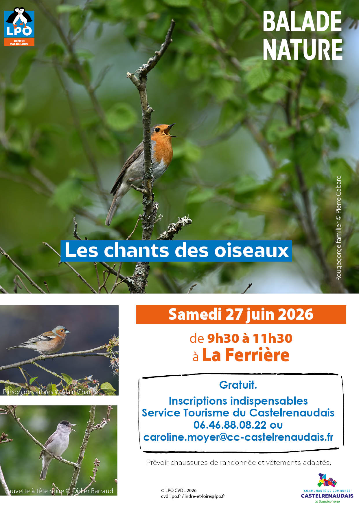 Les chants d’oiseaux