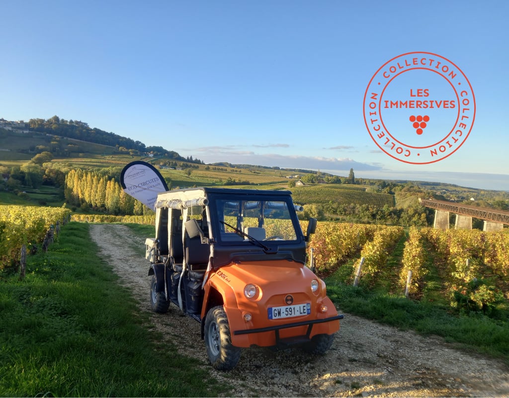 [Vignobles en Scène!]: Eco-circuit des terroirs de Sancerre