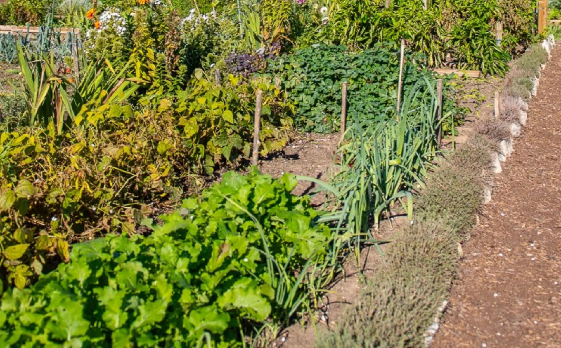 Les rendez-vous du Parc 2026 - Mission goutte à goutte au jardin