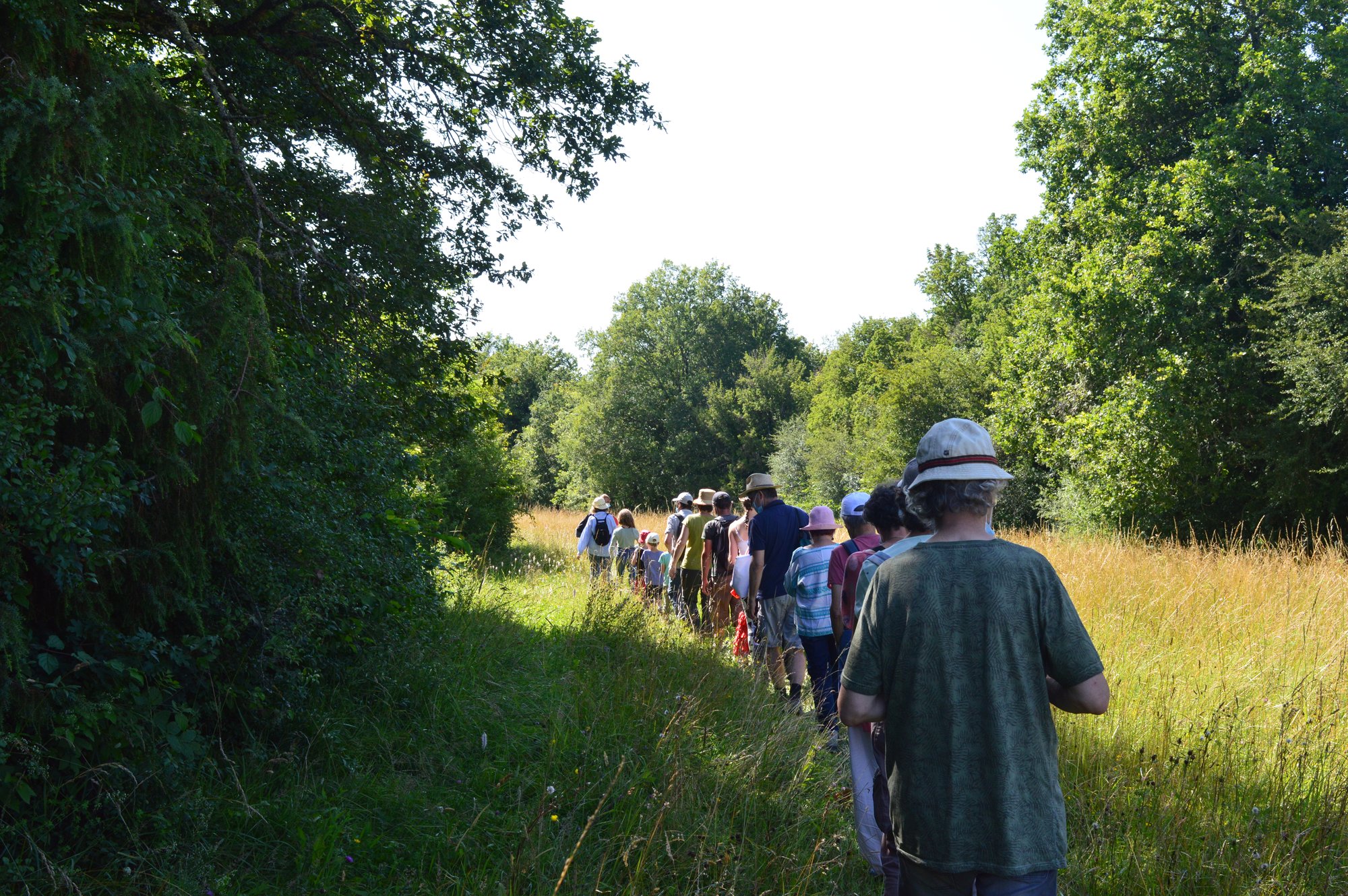 Balade du Ventoulou à la Réserve