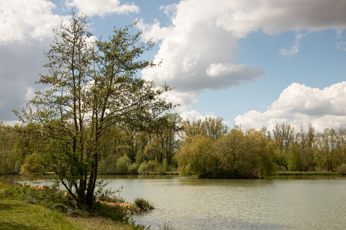 Balade naturaliste: exploration artistique