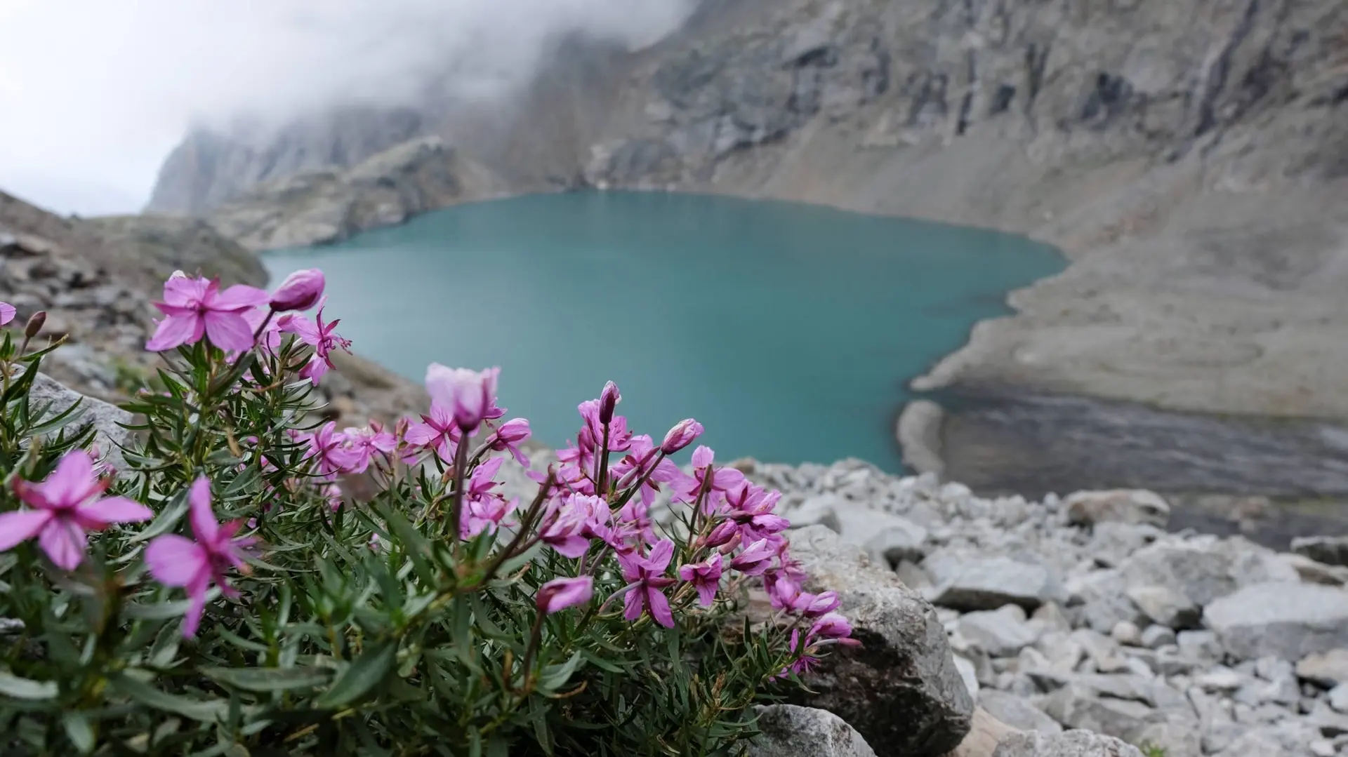 La vie en marge des glaciers