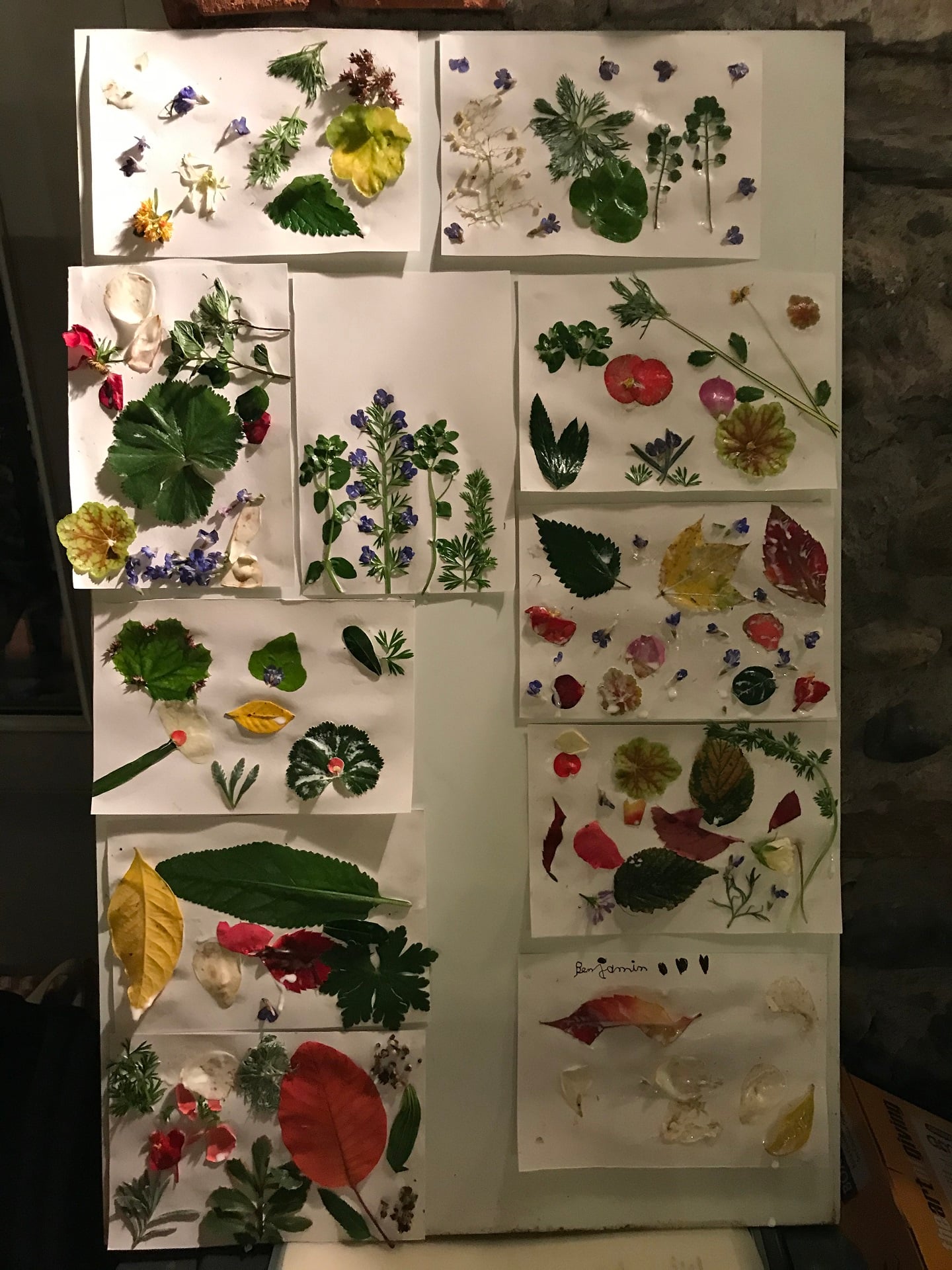 Visite atypique de Salies par les salisiens !