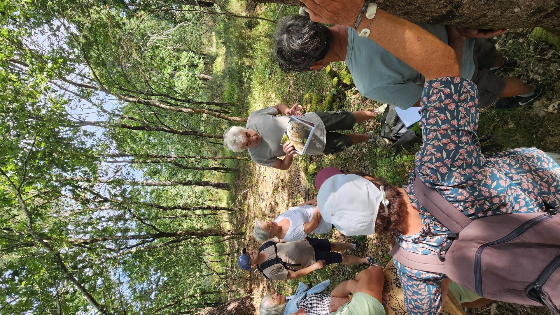 Les découvertes de Monta : Les secrets de la forêt médocaine