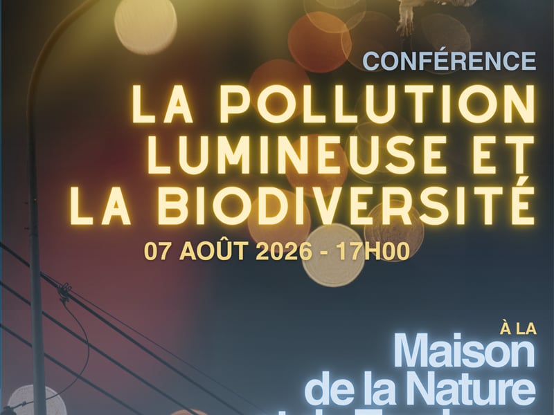 Conférence - Pollution lumineuse et biodiversité