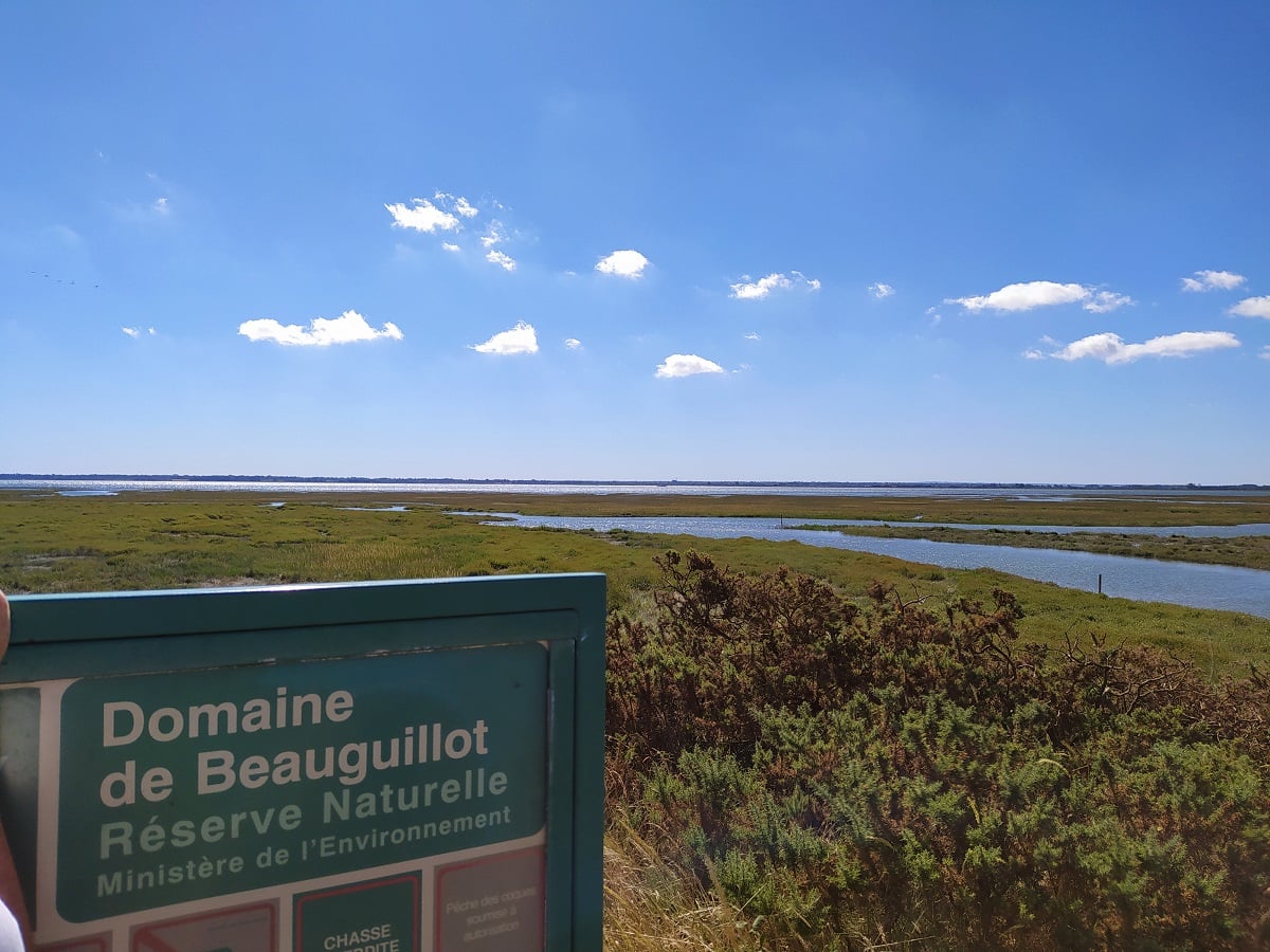 La plage et les dunes