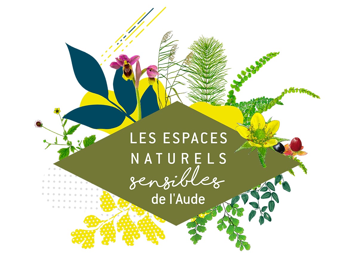 ENS - DES PLANTES QUI NOUS VEULENT DU BIEN