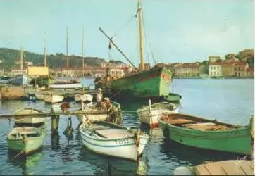 Course de pointus à la voile latine : vire-vire