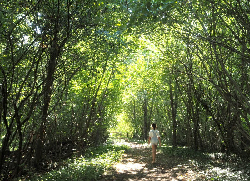 Sortie nature : à la découverte d'une zone refuge remarquable : flore et faune des digues du Rhin