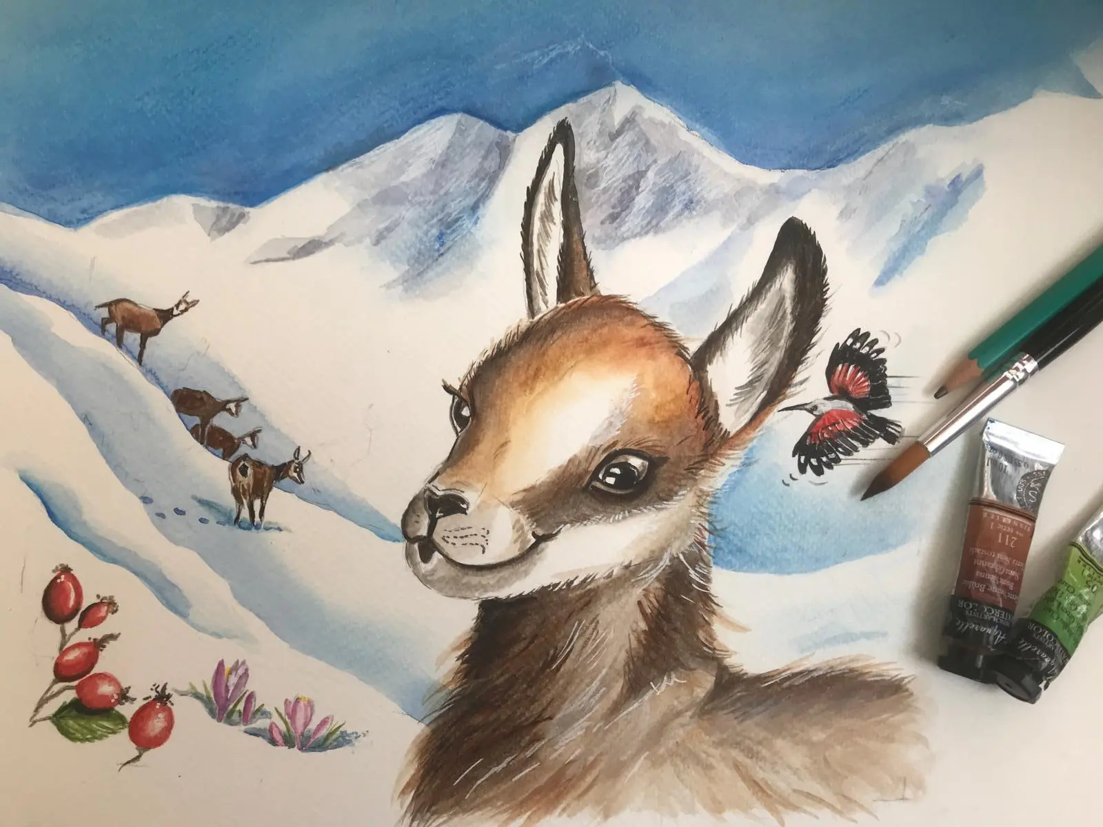 Viens dessiner les animaux du Mercantour !