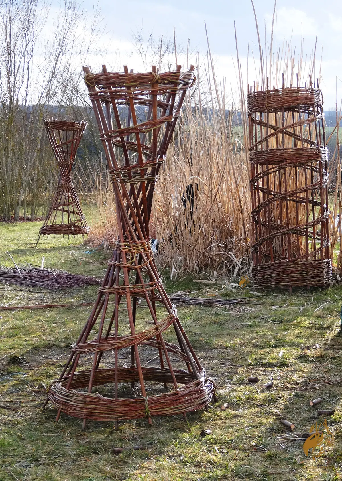 Journées Européennes du Patrimoine - Visite d'un champ d'oseraie