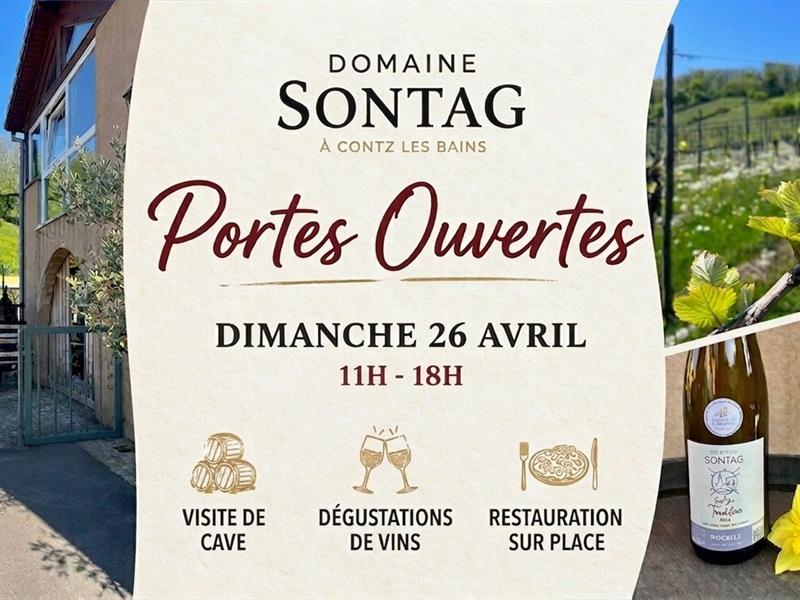 Portes Ouvertes - Domaine Sontag