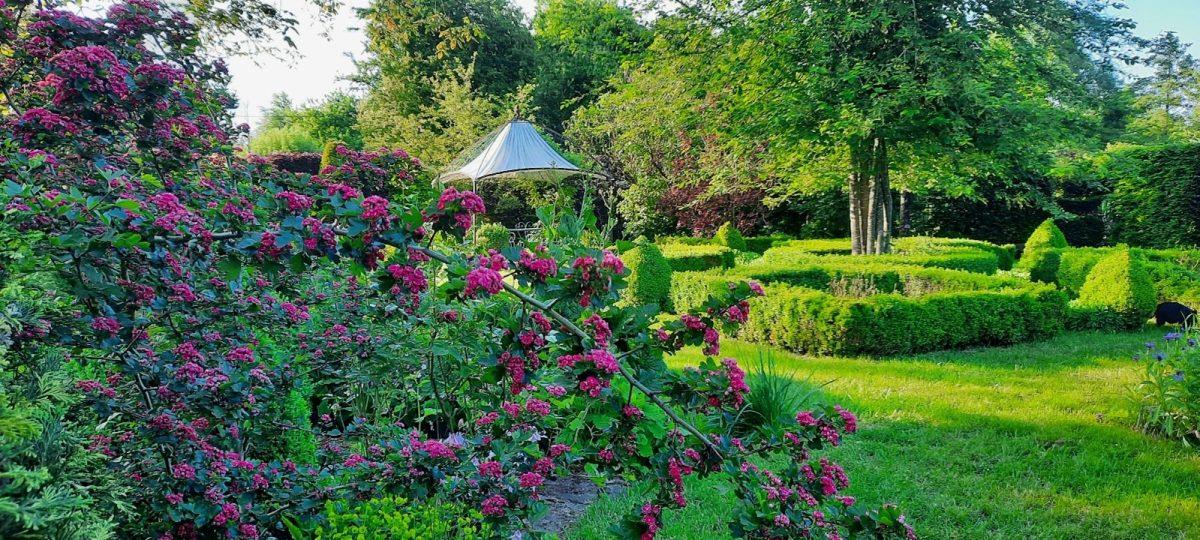 Jardins ouverts pour la recherche sur le cerveau