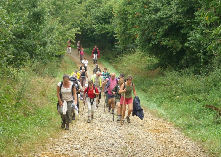 Randonnée accompagnée