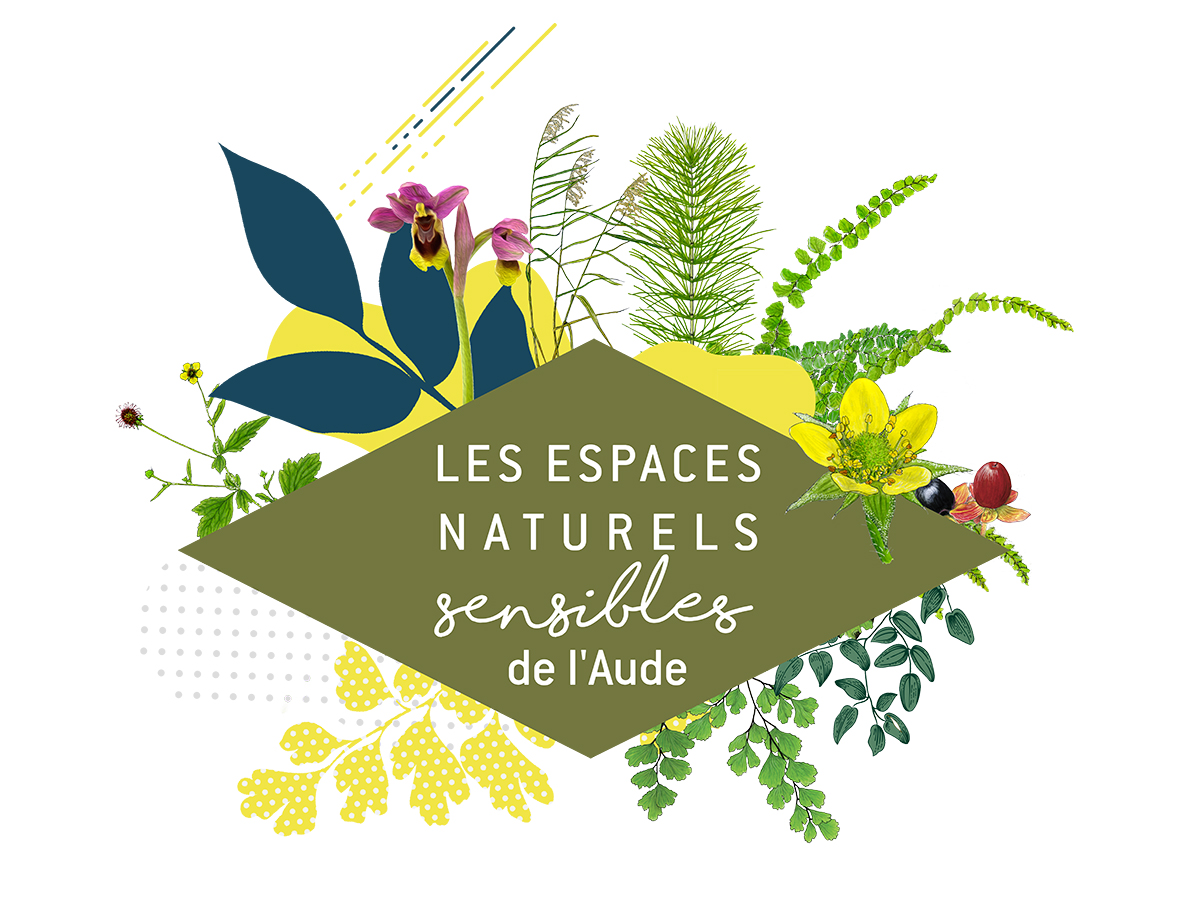 ENS - À LA DÉCOUVERTE DES TRÉSORS NATURELS DE LA PLANASSE