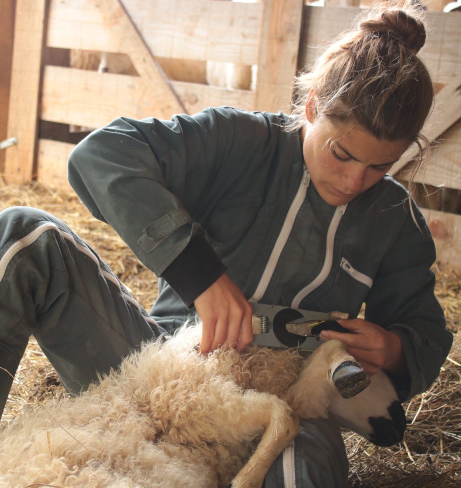EXPOSITION - Le champ des femmes