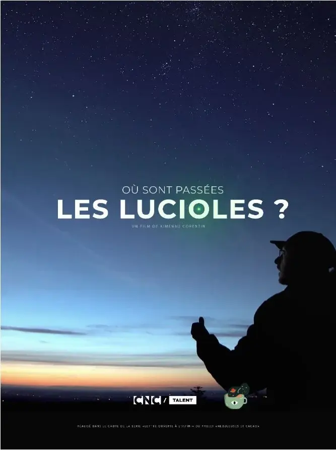 Où sont passées les lucioles ?
