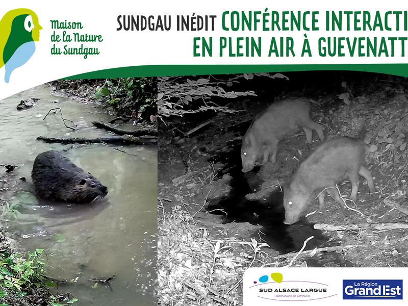 Conférence interactive en plein air à Guevenhatten