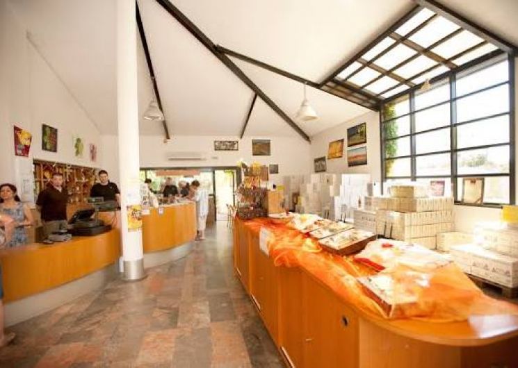 DISTILLERIE ET CAVE COOPÉRATIVE — VISITE EXCLUSIVE