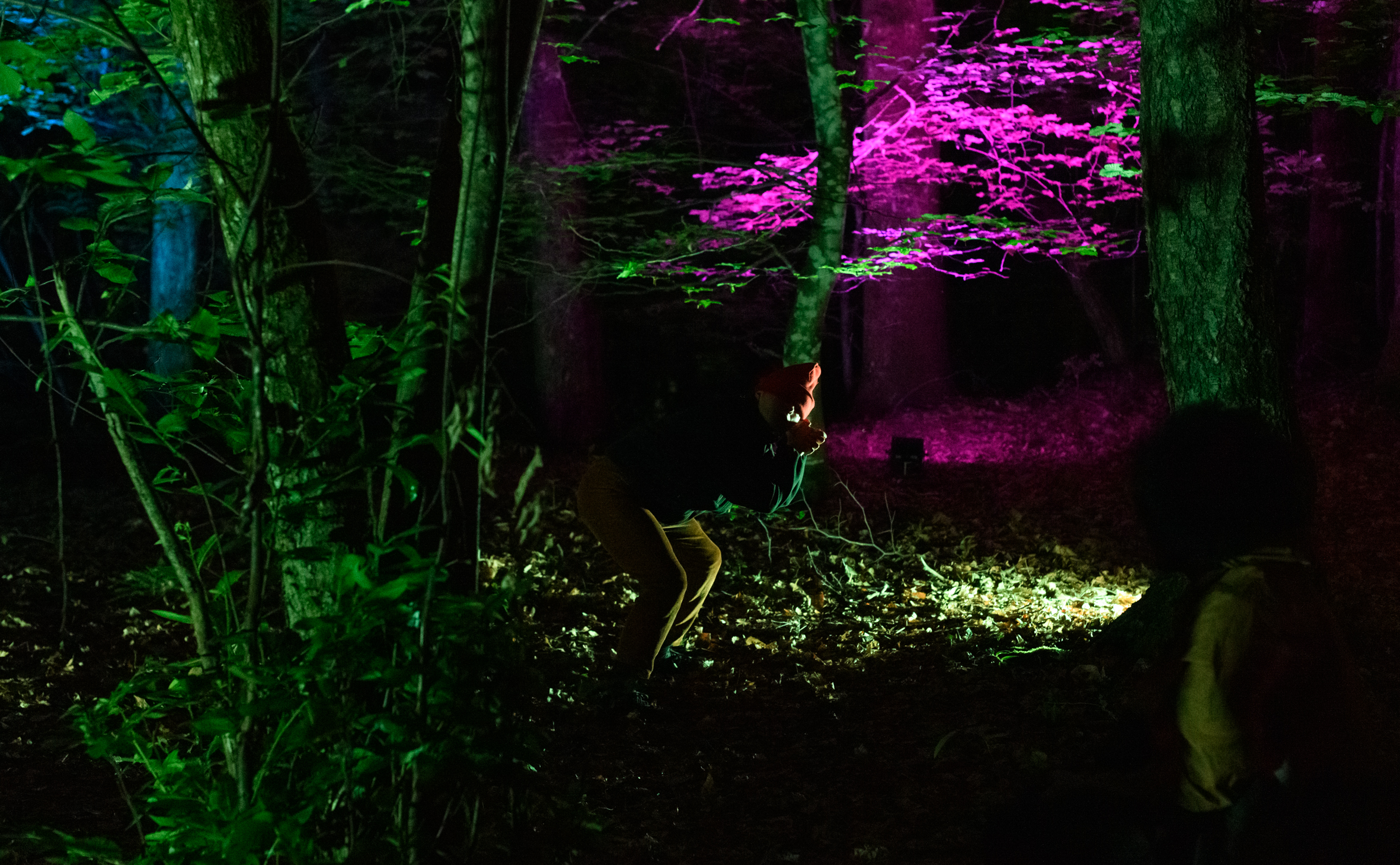 ATELIER CHORÉGRAPHIQUE EN FORÊT