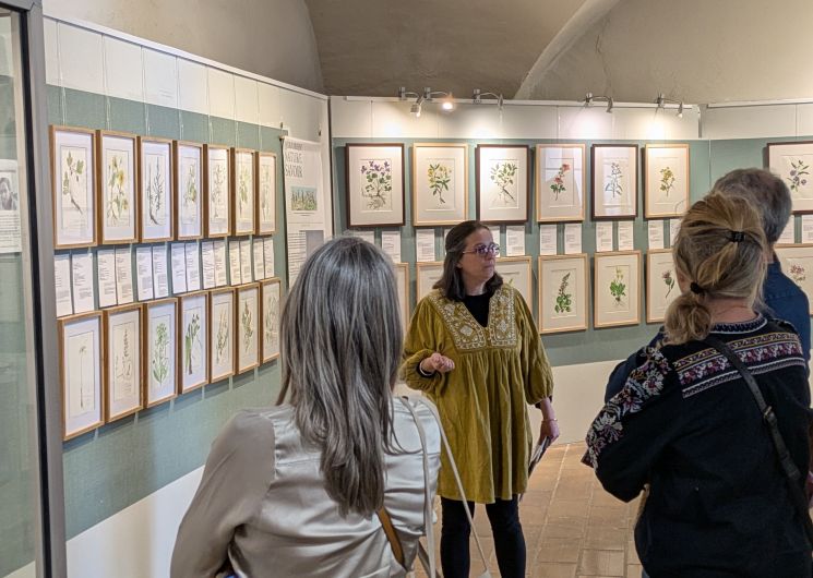 Visite guidée de l’exposition « Les plantes qui soignent »