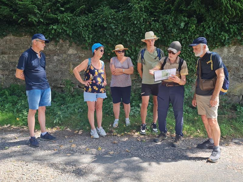 JEP 2026 - Balade sur les arbres remarquables dans le massif de l'Avison