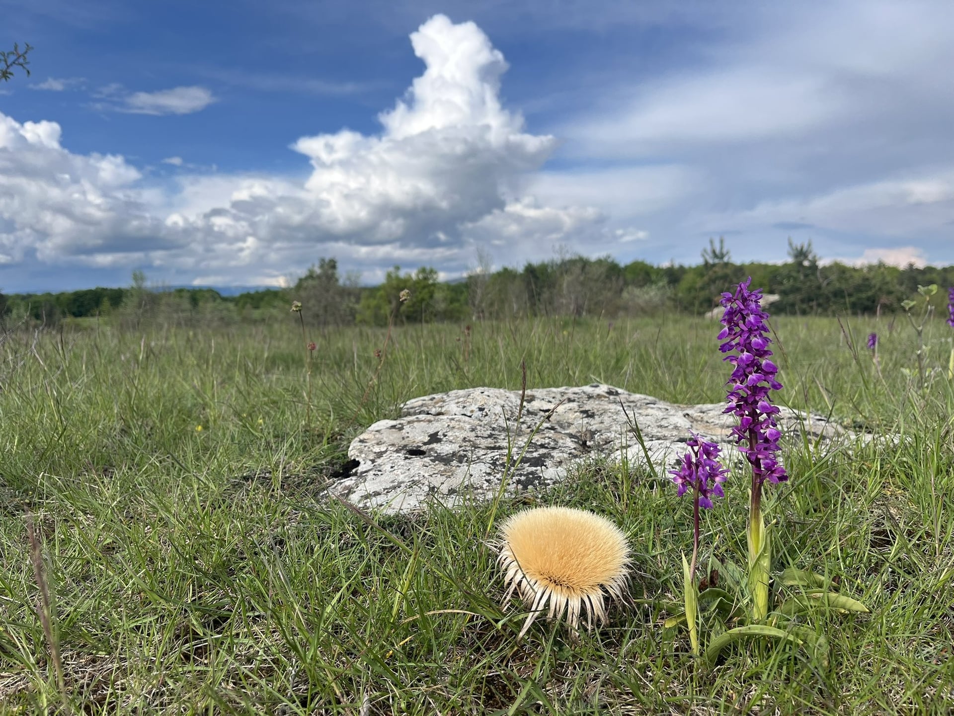 LA CAN DE L'HOSPITALET