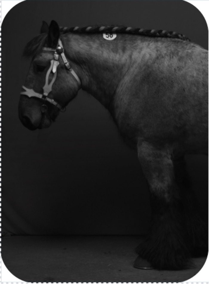 Double Reality (Be-Part) - Tom Callemin