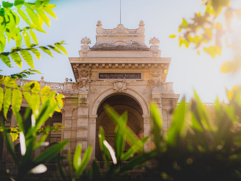 Biodiversité marseillaise, entre mer et collines